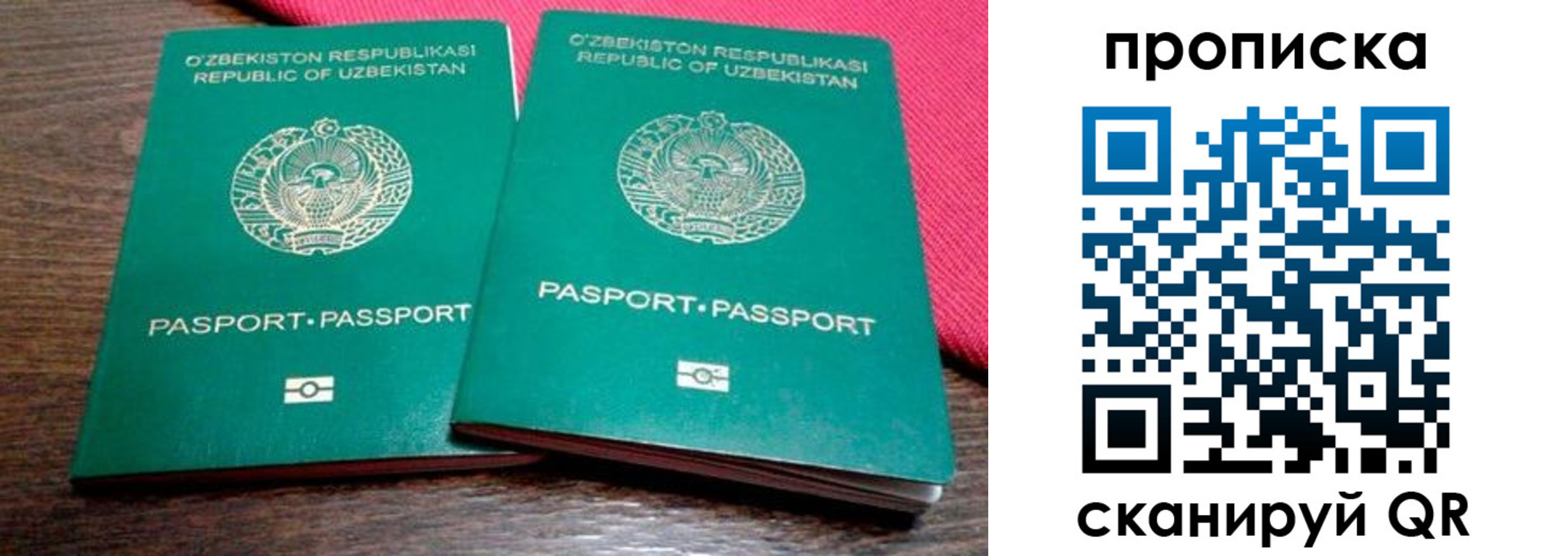 прописка регистрация в Ульяновской области